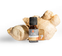 Load image into Gallery viewer, Organic Ginger Essential Oil (Zingiber Officinale) 10ml
